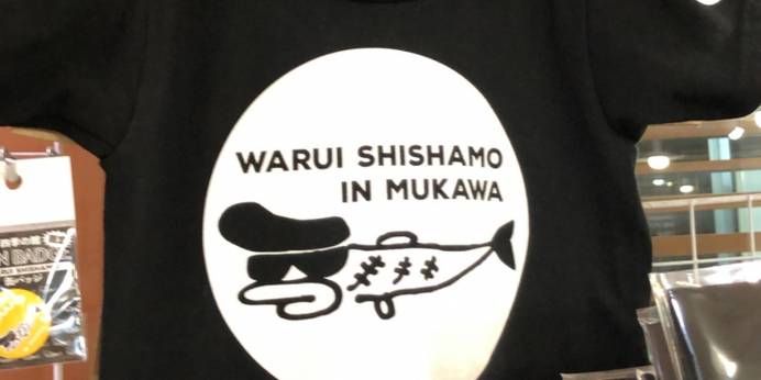 むかわ温泉 ホテル 四季の風（北海道 旅館） / 1