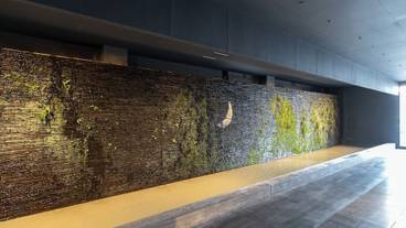 施設の入り口 / 12