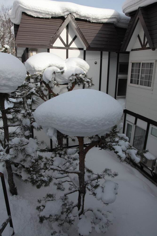 ガーデン ビュー