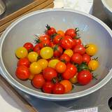 CRUST（クラスト）