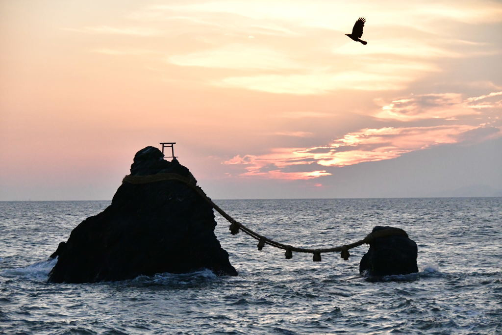 宿泊費を抑えてお得な女子旅を3438678