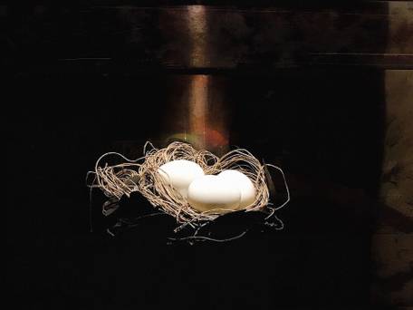 仙石原久の葉 / 1