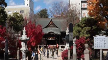 観光スポット / 13