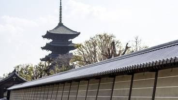 施設からの眺望 / 12