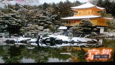 観光スポット / 25