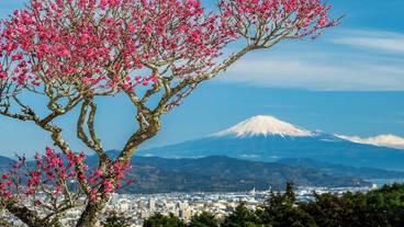 ランド ビュー / 11