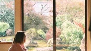 施設からの眺望 / 19