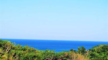 部屋からの景観 / 8