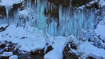 観光スポット / 7