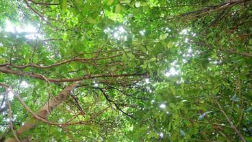 バルコニーからの眺望 / 7