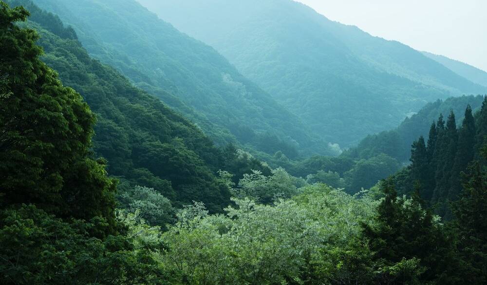 国定公園の豊かな緑に
圧倒されて / 2