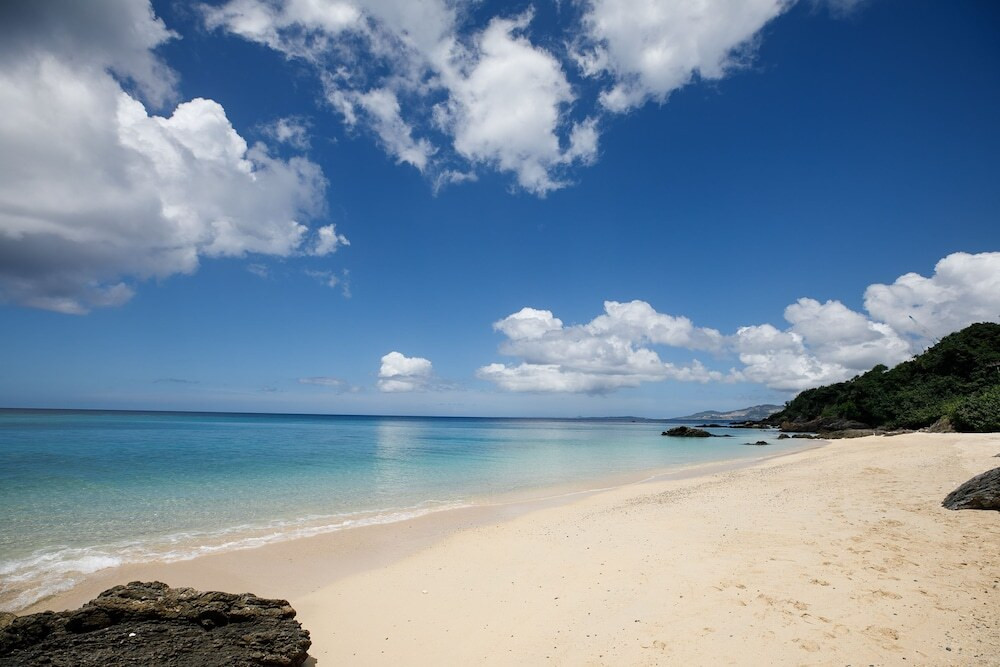 メイン イメージ