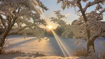 ランド ビュー / 12