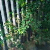 グランドベース門司港（福岡県 アパートメント） / 3