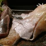 きど藤（キドフジ）