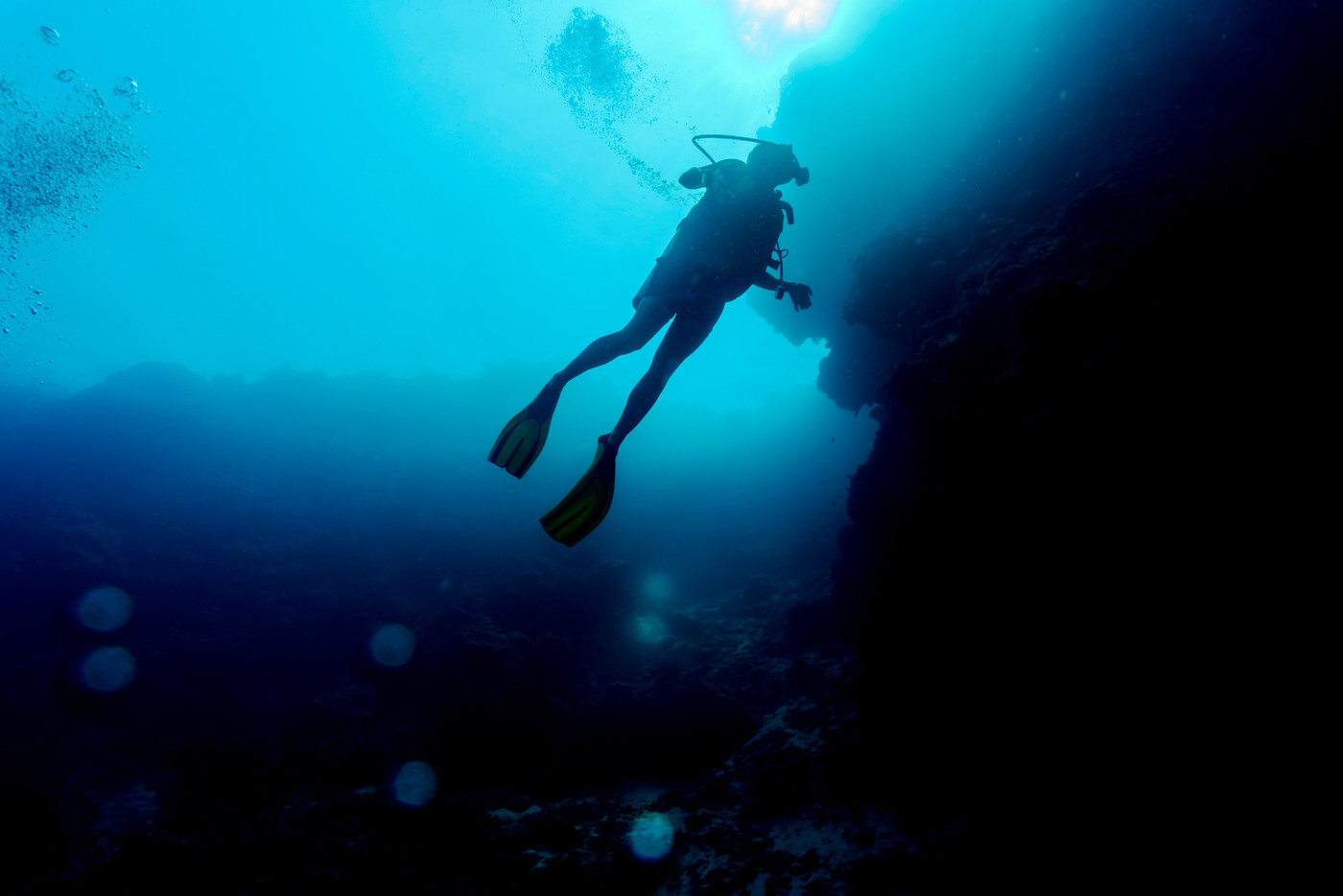 Silhouette of scuba divers underwater. Diving concept. Beautiful underwater world. Underwater photography.