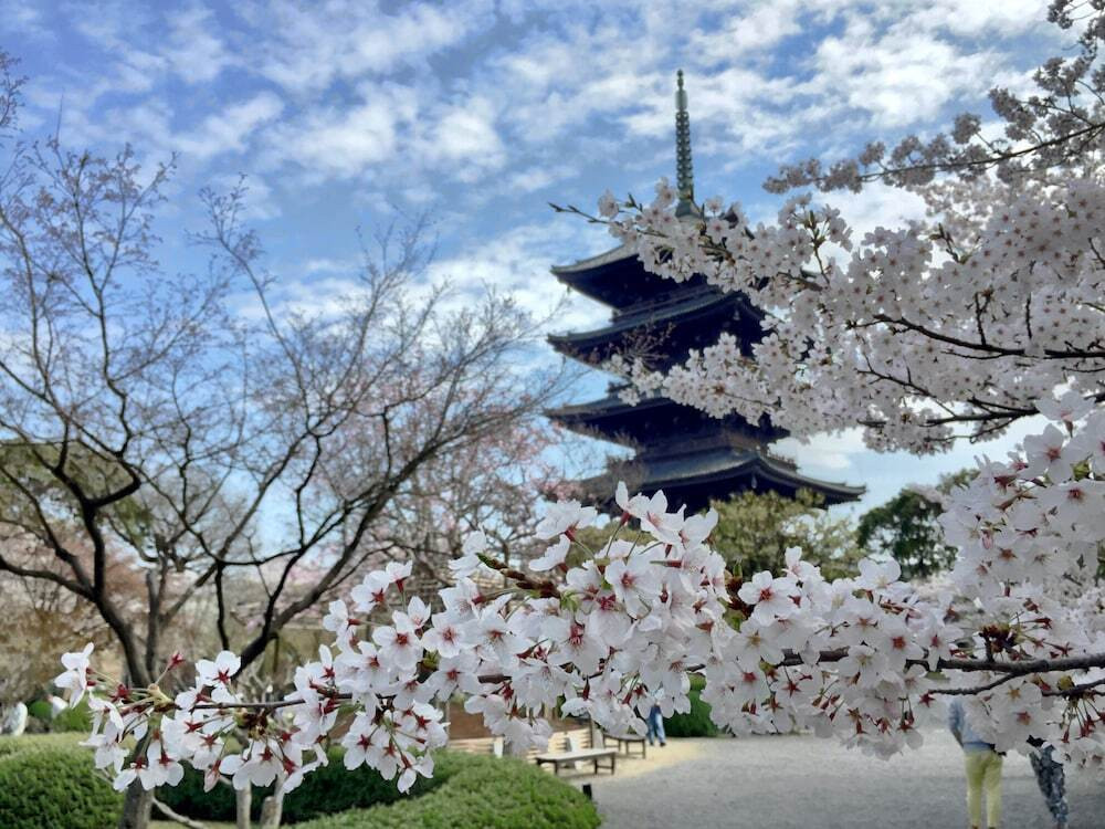 観光スポット
