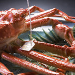 【富山】カニ料理が自慢の旅館10選!絶品ズワイガニと温泉にほっこり♡