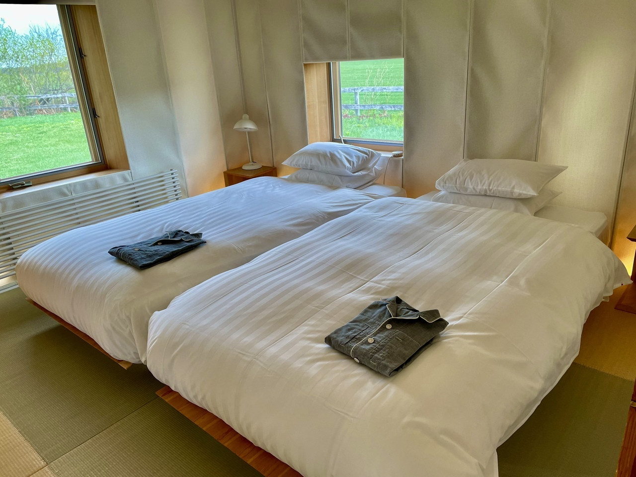 MEMU EARTH HOTEL3398735