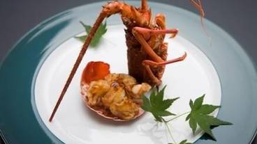 食事・飲み物 / 31