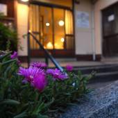 養老温泉本館（広島県 旅館） / 5