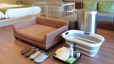 別邸／ワンちゃんOKプレミアムスイート② / 12