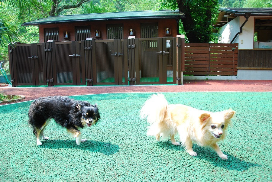 3. 大阪随一の天然ナトリウム温泉「奥水間温泉」3403230
