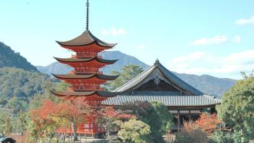 マウンテン ビュー / 37