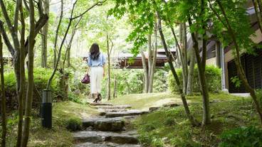 施設からの眺望 / 16