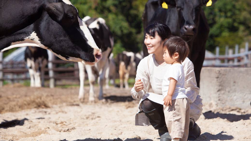 「マザー牧場」で
動物とふれあい体験 / 1