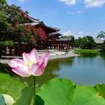 生まれ変わった京都の世界遺産「平等院」で極楽浄土を体感しに行こう！