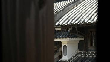 部屋からの景観 / 10