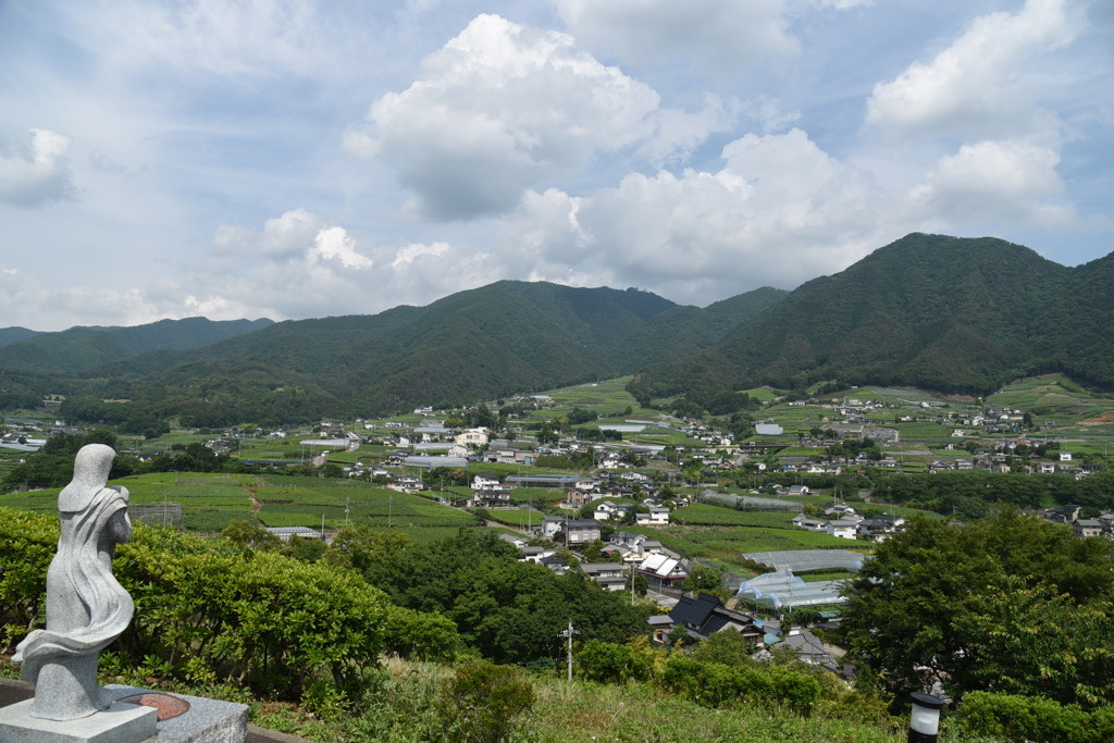 ぶどうの丘(山梨県)818258