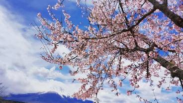 ランド ビュー / 27