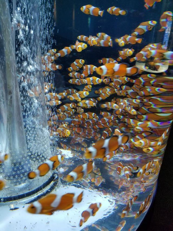 na_kirakira0113さんの写真 / 1