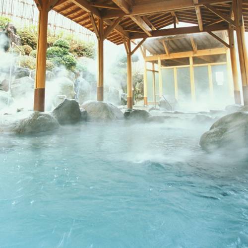 温浴施設や姉妹館で
贅沢湯巡り三昧 / 2