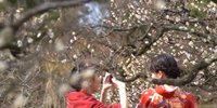 金沢はフォトジェニック！カメラ女子旅におすすめの撮影スポット7選
