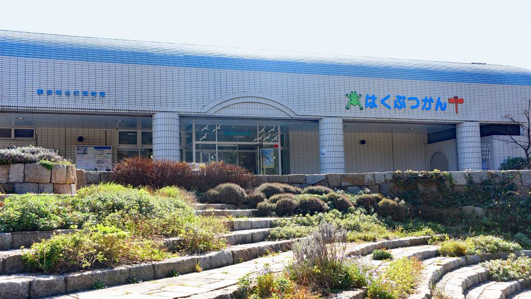 観音崎自然博物館 / 4