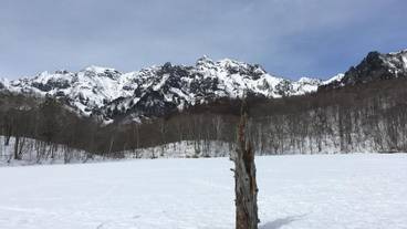 スノー スポーツとスキー / 1