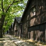 酒田の人気観光スポット・山居倉庫～ケヤキ並木と倉庫群を巡る大人旅