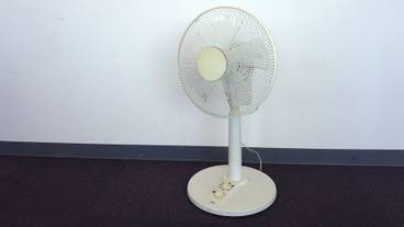 客室の設備とサービス / 36