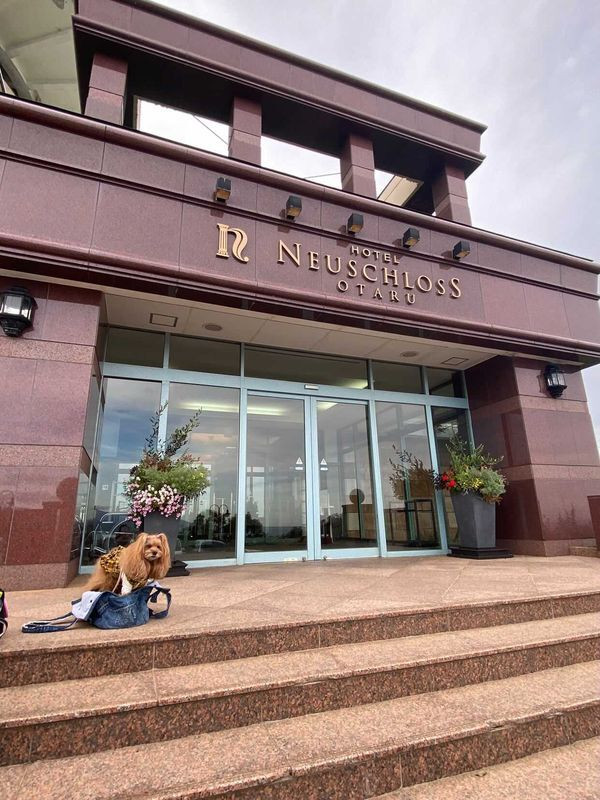 ruriribさんの写真 / 1