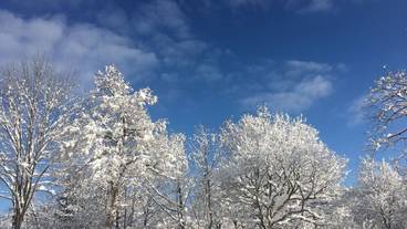 施設からの眺望 / 25