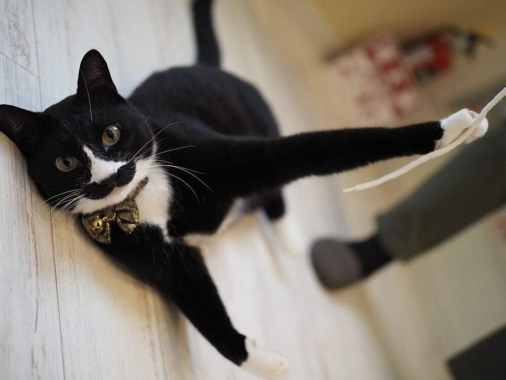 フィットネス設備