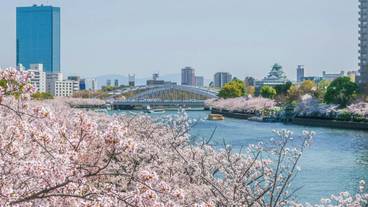 シティ ビュー / 16