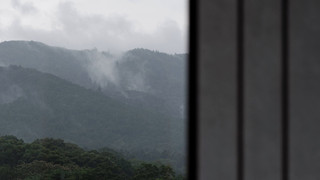 Junior Suite with Japanese-style