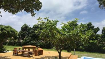 施設内の設備 / 3