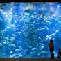 【楽天スーパーSALE】【秋田得旅】「男鹿水族館GAO」＆「なまはげ館」入場券付宿泊プラン | 秋田温泉さとみ