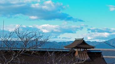 施設からの眺望 / 33