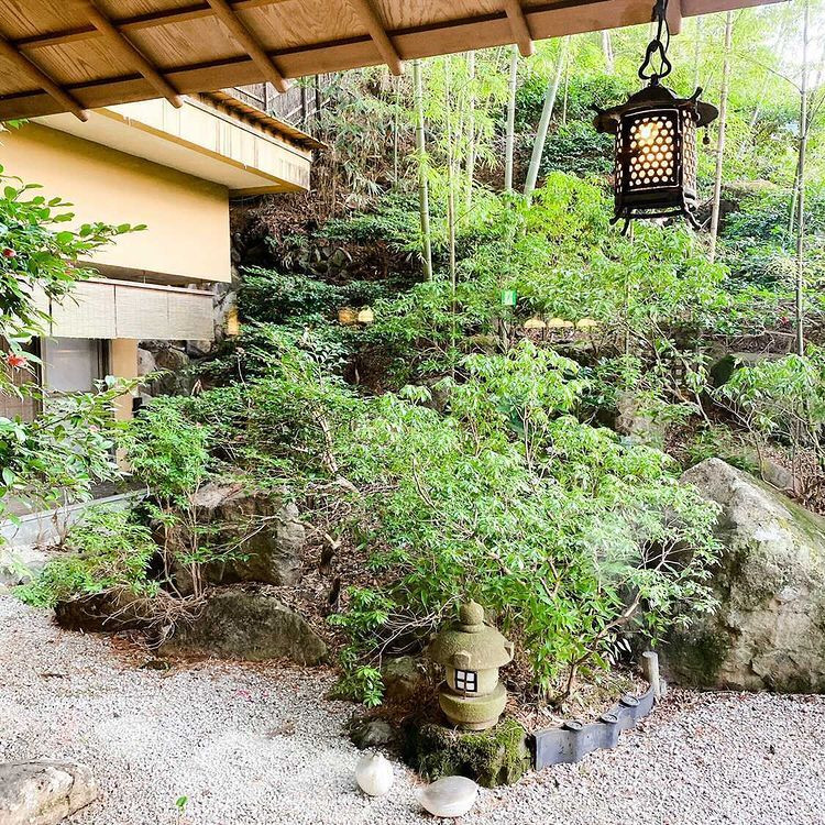 haru___tamaさんの写真 / 5